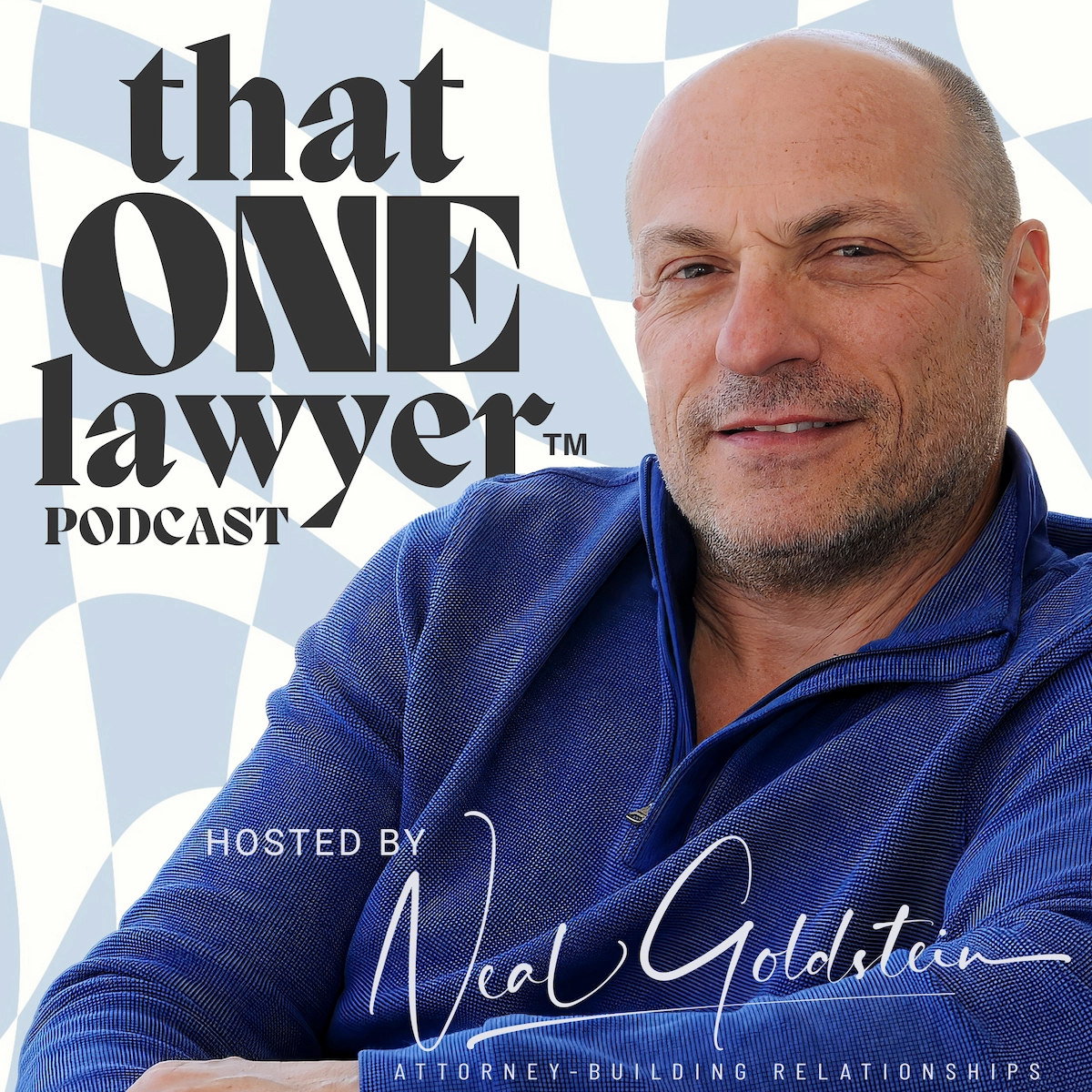 That One Lawyer™ Podcast